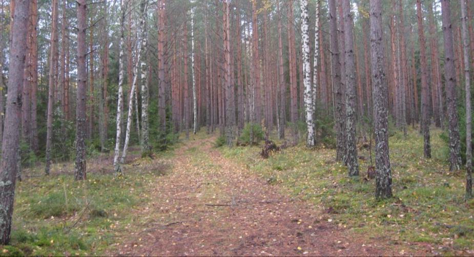 Alue on kartoitettu 2002 ja tarkastettu 2010 ja 2013. Kuva 46.