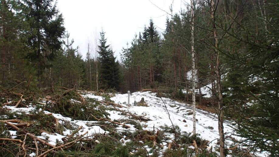 FCG Suunnittelu ja tekniikka Oy Natura-arvioinnin täydennys 66 (132) Kuva 50. Imeytysalueella IA 1.