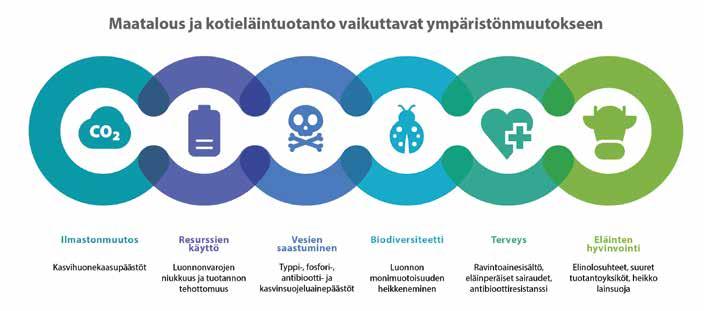 8 RURALIA 2 2018 Teksti Toni Ryynänen Miten kuluttajat suhtautuvat viljeltyyn lihaan ja solumaatalouden tuotteisiin?