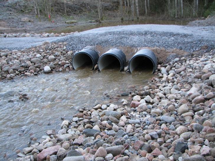 siihen. Kohteesta riippuen tarpeelliset hoitotoimet ja niiden useus vaihtelevat.