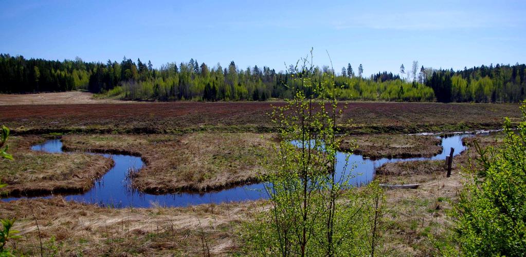 Mutkittelevat uomat lisäävät veden viipymää.