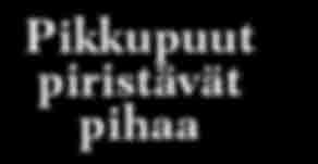 Hyvingiensis Pylväspihlaja Autumn Spire Riippaomenapuu Cheal s Weeping Kapealatvainen, noin kolme metriseksi kasvava Obelisk on