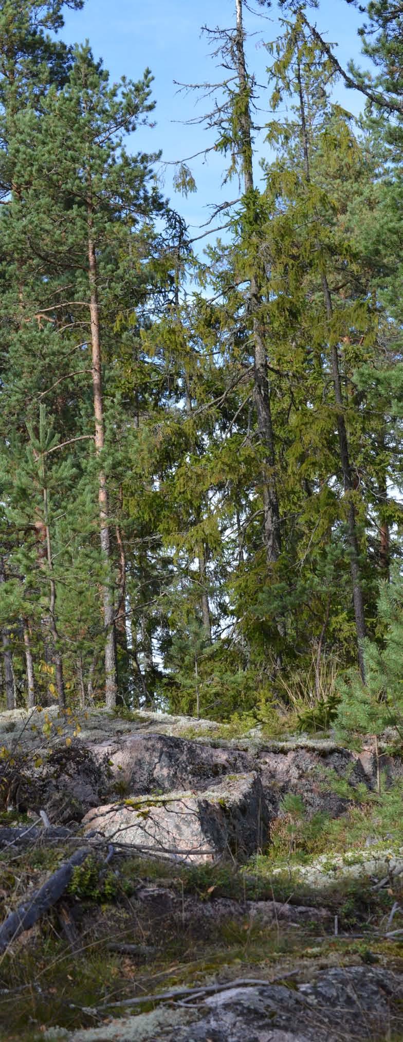 4. Luonto ja ympäristö Luontoon ja ympäristöön liittyvät lähtötiedot on esitetty laajemmin kaavan lähtötietoraportissa, joka julkaistiin keväällä 2016. 4.