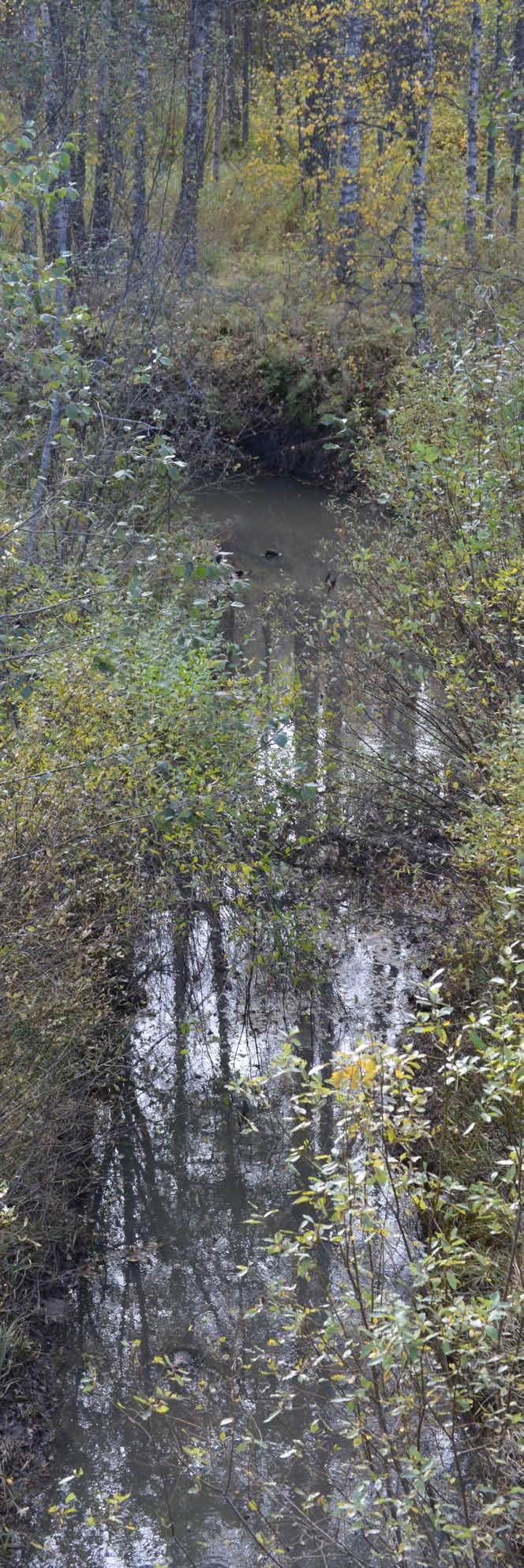 7.5 Vaikutukset luontoon ja luonnonympäristöön Pääosa osayleiskaava-alueesta jää jatkossakin maa- ja metsätalouskäyttöön, eikä luonnonoloihin tule kaavan mukaisella toteutuksella merkittäviä