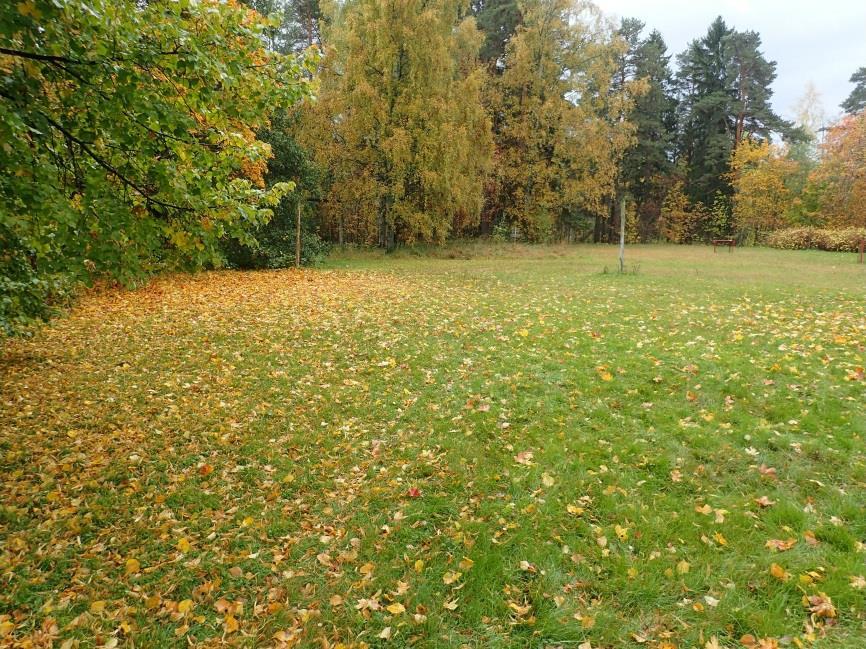 Vihnusjärven keskiosaa, vanhaa