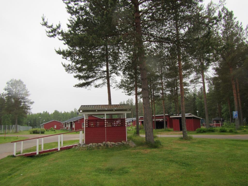 7 Kuva 4-5. Vankilan piha-alueen puurykelmiä (vasen) ja istutusalue tienvieren rinteessä (oikea). Selvitysalueen pohjoisosassa on maatalousrakennuksia.