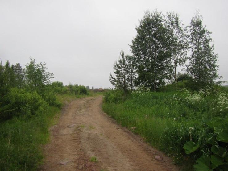 Lepakot 4.3.1 Pesimäyhdyskuntien kartoitus rakennuksista Lepakoiden pesimäyhdyskuntia etsittiin 13.6.