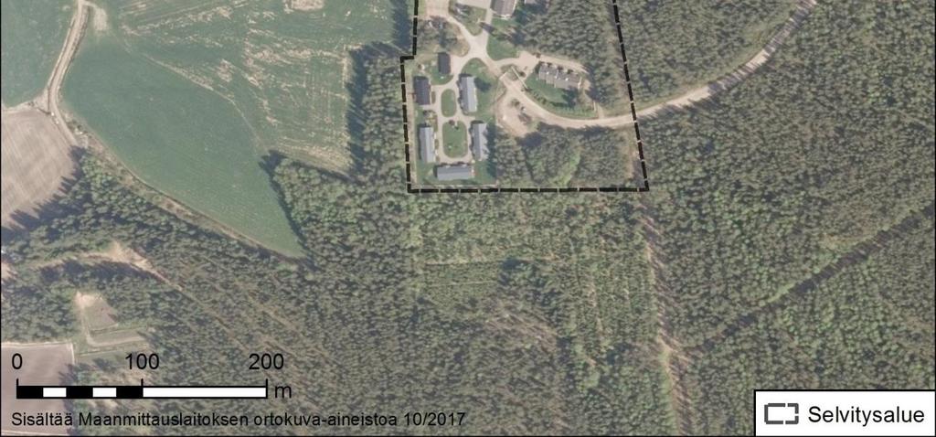 Vankilan päärakennuksen ja sähkölinjan välissä on metsäinen kumpare, joka on mäntyvaltaista (Pinus sylvestris) tuoretta kangasta (puolukka-mustikkatyyppi, VMT).