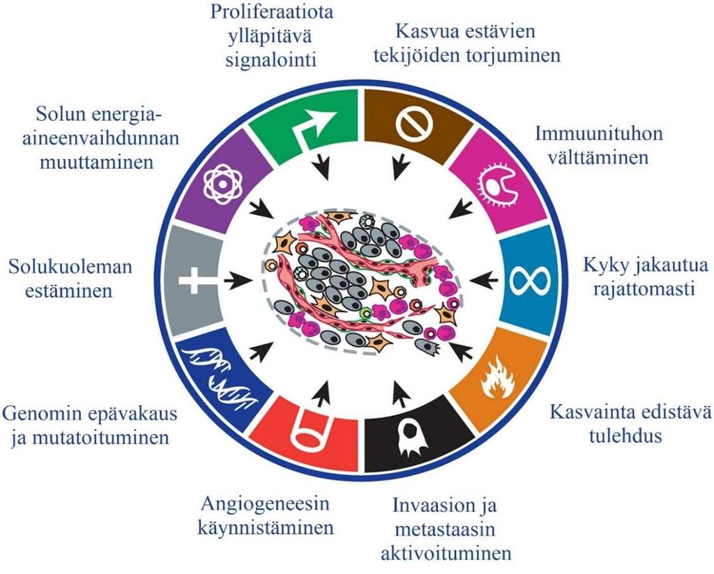 Kuva 1. Syövän tunnuspiirteet. Jokaisella syöpätyypillä on omat ominaispiirteensä ja jokaisen syövän kehittyminen tapahtuu erilaisten geneettisten ja epigeneettisten mutaatioiden kautta.