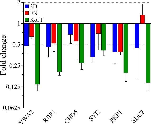 Geenien ilmentymistasot määritettiin komplementaarisesta DNA:sta geenit spesifisesti tunnistavilla alukkeilla qpcr:llä. (A) ja (B) DU145WT (α + 2 ) ja DU145KO (α - 2 ) -solujen väliset FC-arvot.