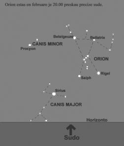Astronomio Sur la nokta æielo Æasisto kun hundoj regas la vintran æielon En la vintraj noktoj sude videblas konstelacio kun multaj tre brilaj steloj, Orion.