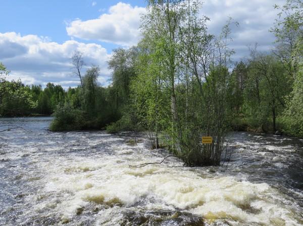 10 Kuva 15. Kermakoski kuvattu etelään (ks.