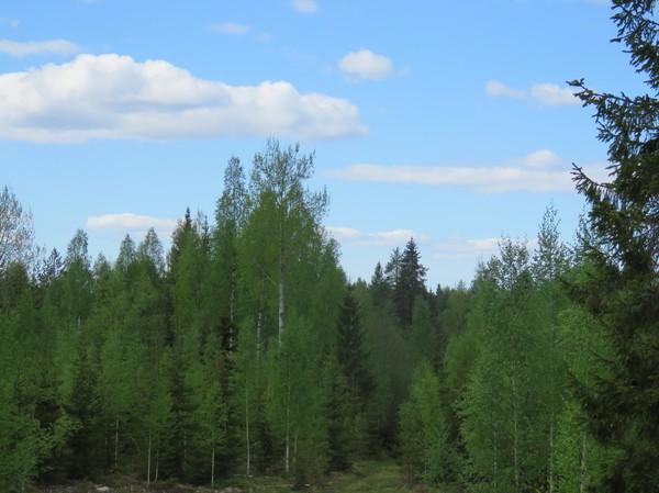 Muutosalue Koskenkartanon länsipuolella, koilliseen,