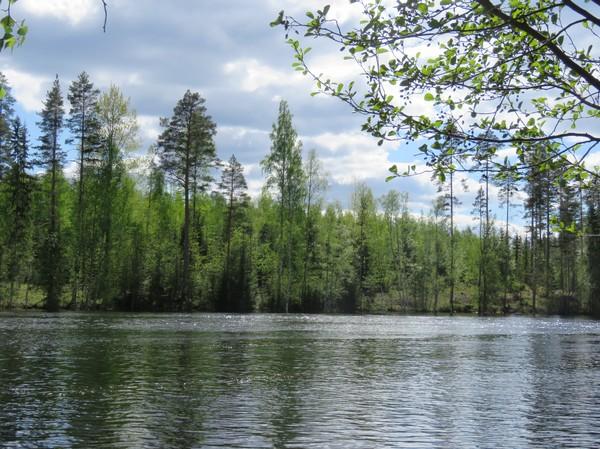 11 Kuva 21. Sama kuin kuvassa 20, kuvattu etelään vastarannalta. Kuva 22. Tulikallion muutosalue luoteeseen. Kivinen pääosin hakattu rinne, sen eteläosassa on kalliopaljastuma. Kuva 23.