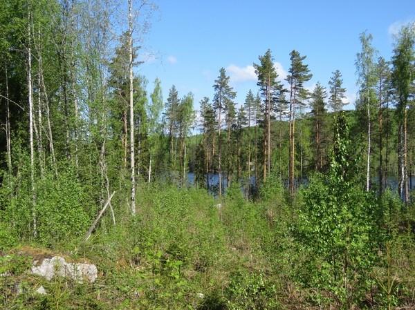 Heinäveden Reitin läheisyydessä tunnetaan useita kivikautisia ja pronssikautisia asuinpaikkoja (ks. kappale 2, sivu 5), jotka sijaitsevat nykyistä rantaa korkeammalla.