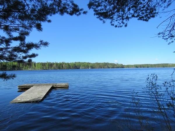 Maastokuvaukset ja valokuvat Alue 2 Vainolahti Kuva 1.