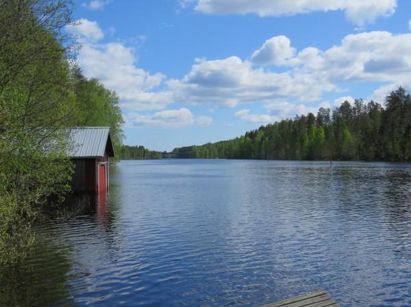 Rantavyöhyke kuvattu itään. Kuva 13.