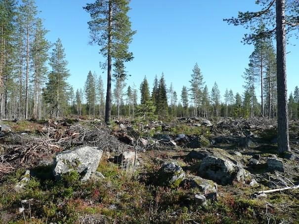 9 Kuva 3. Voimalapaikka kuvattu itään.