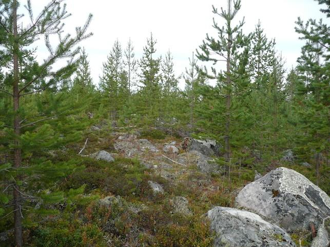 luoteispuolella. Kuvattu länsiluoteeseen.