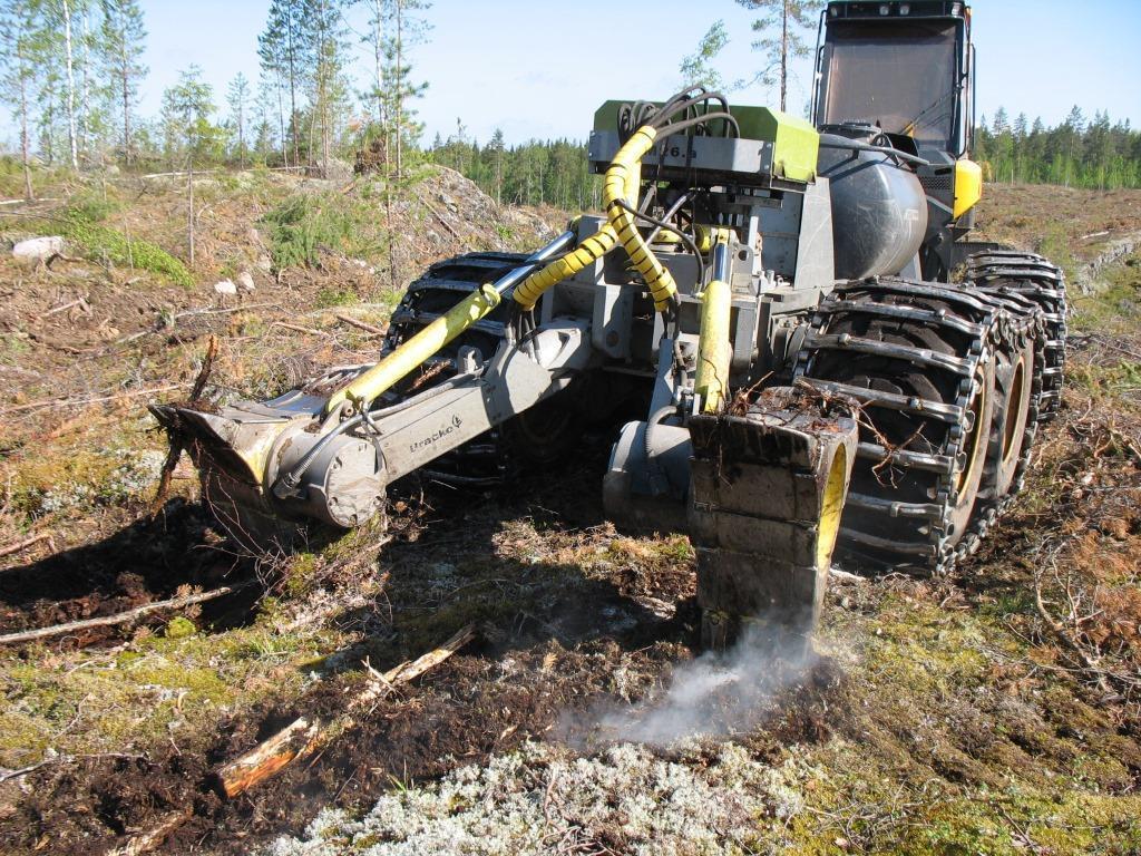 5. Metsä- ja taimitarhakylvö Käytössä olevasta kehittymättömästä maanmuokkaus- ja -kylvöteknologiasta johtuva suuri siemenmenekki männyn metsäkylvössä on myös yksi siementuotantoon liittyvä