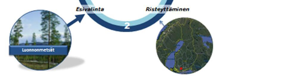 Ohjelmassa on määritelty jalostustyön keskeiset periaatteet, eli mihin jalostuksessa pyritään, millä aineistoilla ja millä menetelmillä.