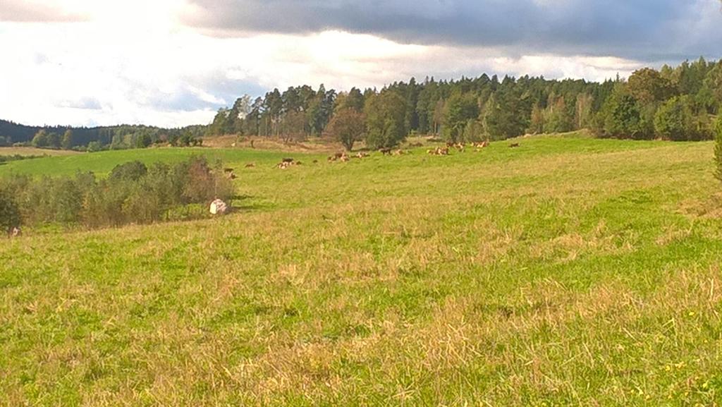 Tilastoja ympäristökorvaussitoumuksista 2017 Viljelijät sitoutuivat ympäristökorvaukseen viideksi vuodeksi tukihaussa vuonna 2015 Viljelijöistä