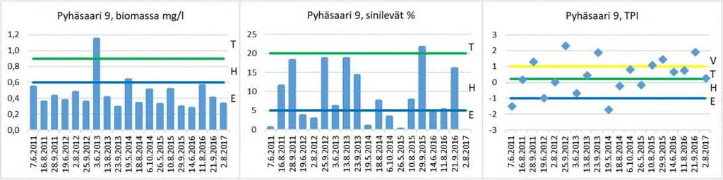 Erinomainen tila saavutetaan sinilevien osalta, koska niitä on alle 5. Piilevät Aulacoseira ambigua ja A.