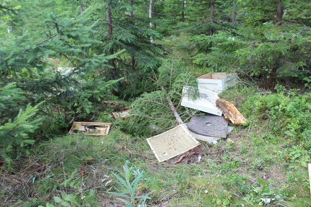 Pöyhönen - Eesti mesinike teabepäeval