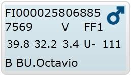 25. BU. Octavio FI000025806885 MITTAUSPÄIVÄ: 21.