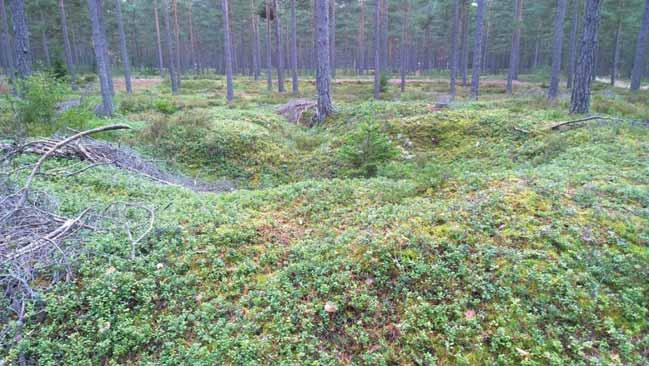 Valleineen noinseitsemänmetriähalkaisijaltaanolevaampumaasemaonkaivettumatalalleharjanteelle.