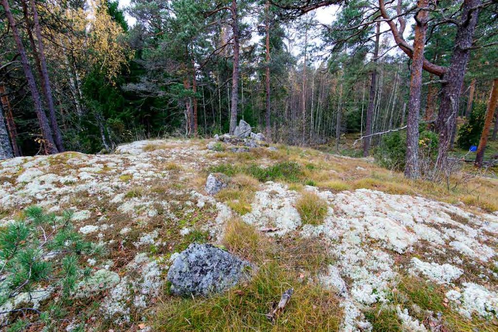 Boberget.
