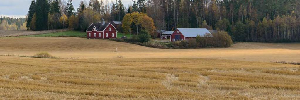 tarkastettiin vuoden 2015 inventoinnissa, se sijaitsee Kulloossa Ribacken nimisen mäen pohjoisosassa. Kullossa oli 17 veronmaksajaa 1540 luvulla.