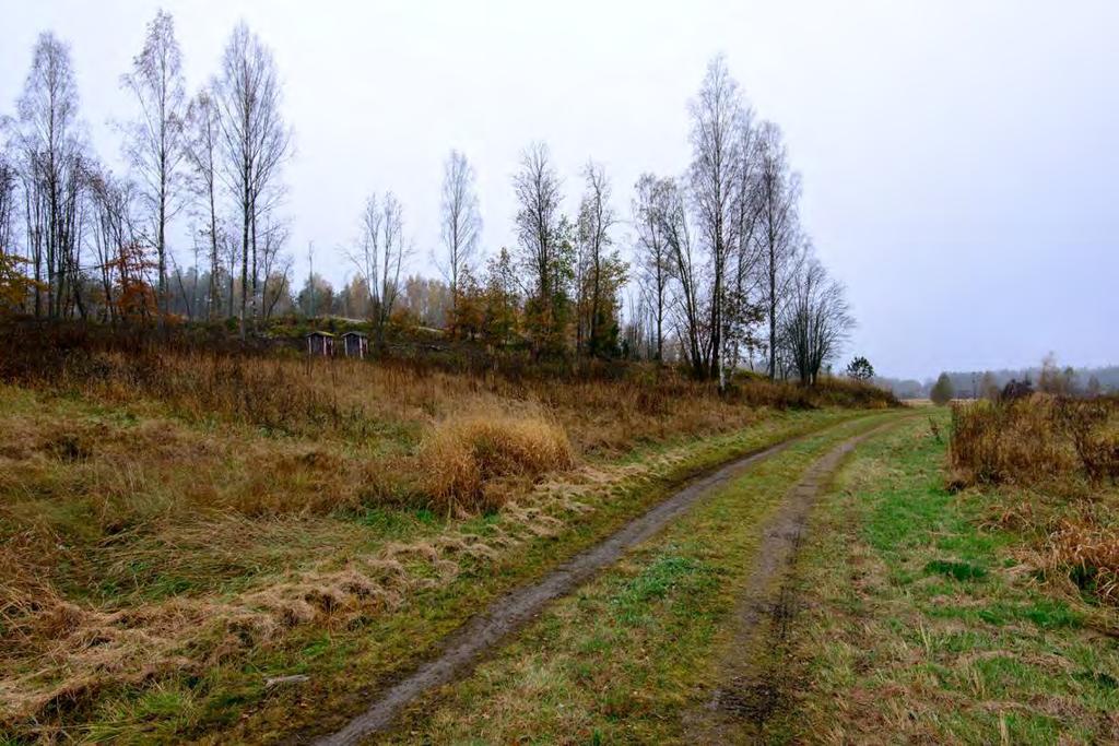 (AKDG4550_1) Kullo