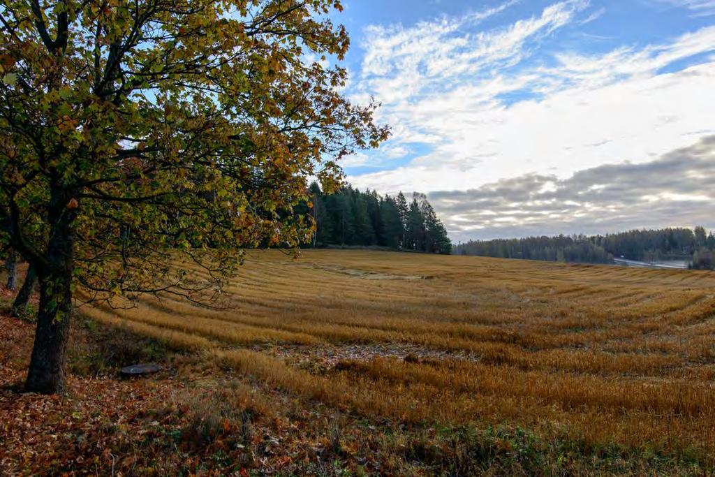 Lill Bondas, 1000003866 Muinaisjäännöstyyppi: löytöpaikat Alatyyppi: ei määritelty Lukumäärä: 1 Ajoitus: kivikautinen Laji: löytöpaikka ETRS TM35FIN: P: 6688132 I: 416539 Z: TM35 lehtijako: L4321