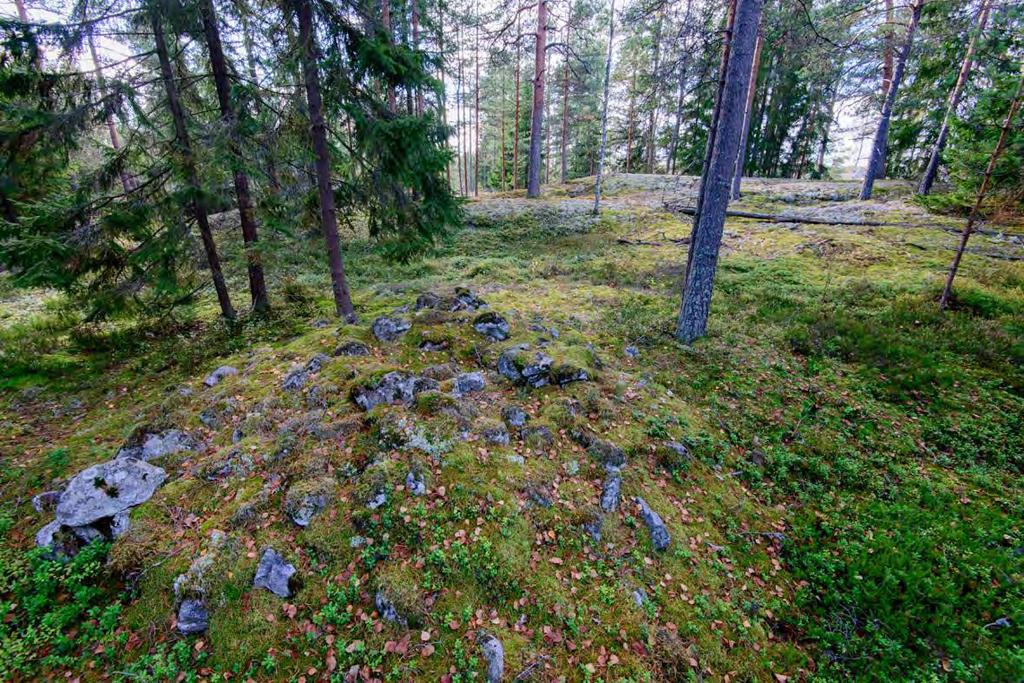 Malmen, 613010058 Muinaisjäännöstyyppi: hautapaikat Alatyyppi: hautaröykkiöt Lukumäärä: 1 Ajoitus: pronssikautinen Laji: kiinteä muinaisjäännös ETRS TM35FIN: P: 6691483 I: 415687 Z: 42 TM35