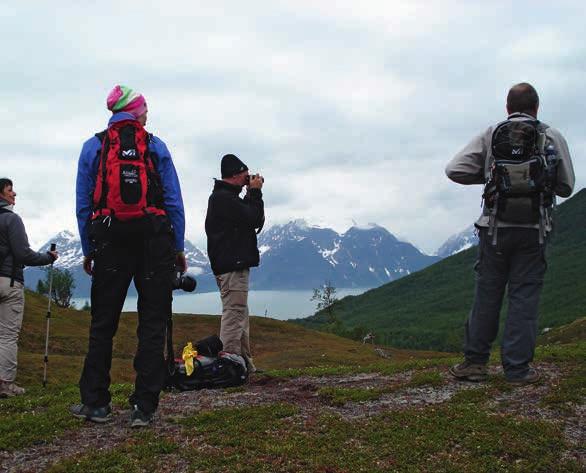 Auf dieser Wanderung in das Nordmanvikdalen kommen Sie hoch ins Fjell. Umgeben von steilen Bergflanken können Sie einen wunderbaren Blick auf die imposante Gebirgskette der Lyngenalpen genießen.