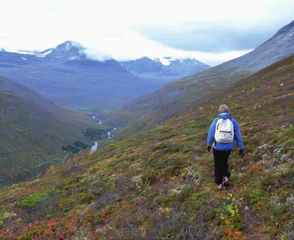 Im innersten Signaldalen/Čiekŋalvuovdi, können Sie auf dem sogenannten «Tyskveien Deutscher Weg» vom Tal bis hinauf ins Fjell wandern.