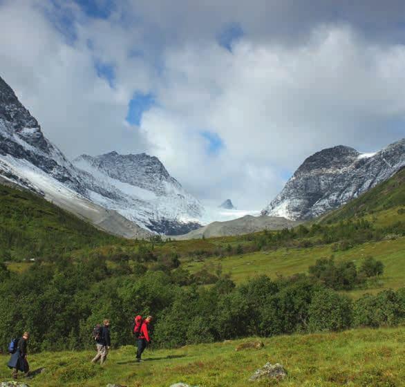 Der Gletscher im Steindalen/Gievdanvággi ist einfach zu erreichen und im unteren Teil sehr flach, so dass er gut begehbar ist. Vom Parkplatz aus folgen Sie einem Waldweg ins Tal hinein.