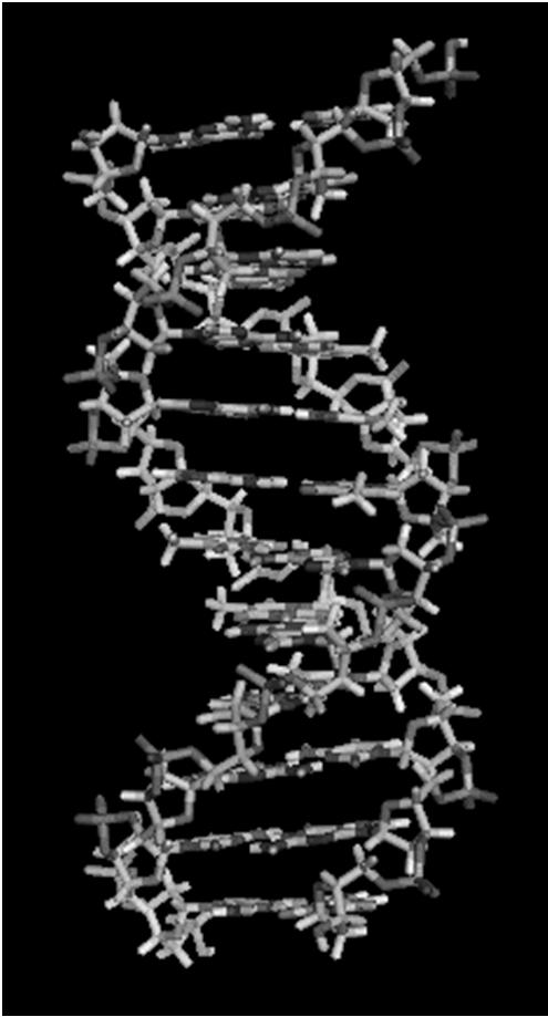 DNA DNA (deoksiribonukleiinihappo) on kromosoimessa solun tumassa.