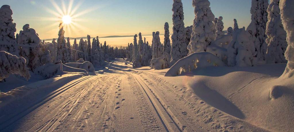 MAJOITU MUKAVASTI 44,50 ja nauti hyvästä ruoasta 44,50 HOTELLI KALEVALA Lammasjärven rannalla sijaitseva Hotelli Kalevala tarjoaa loistavat puitteet sekä aktiiviseen että rauhalliseen lomaan Kuhmossa.