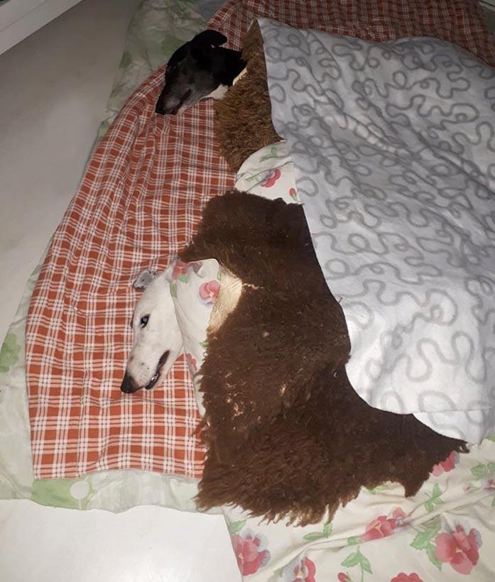 urokset kävivät kuumina.