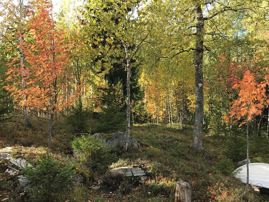 Tuliko ongelma ratkaistuksi? Kiitos huomiostanne!