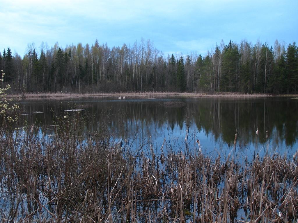 TUUSULAN PALOJOENPUISTON VIITASAMMAKKO- JA