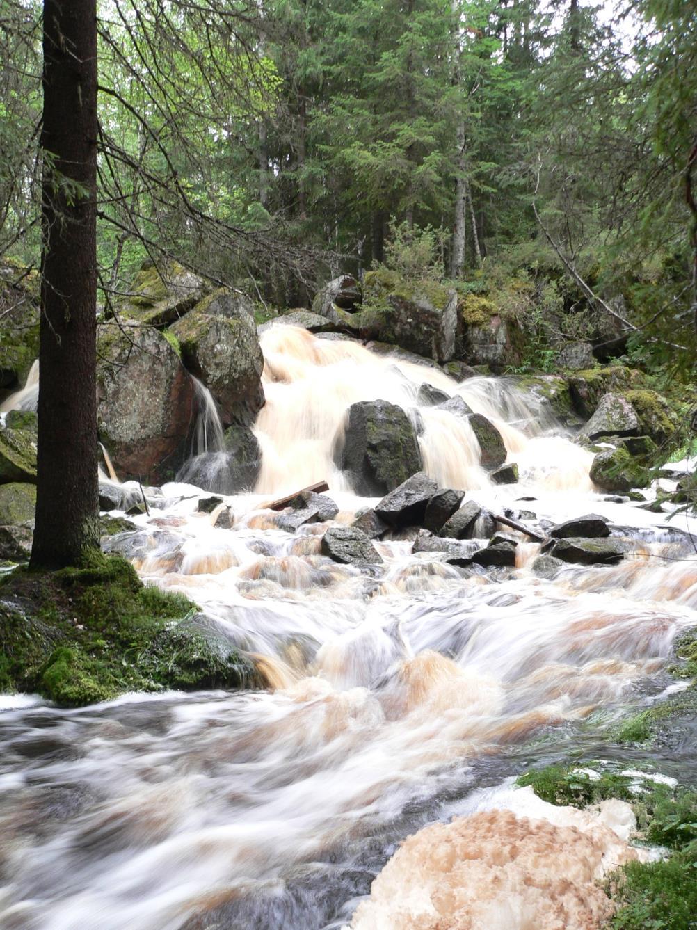Petäjäveden kunnan ympäristönsuojelumääräykset Hyväksytty