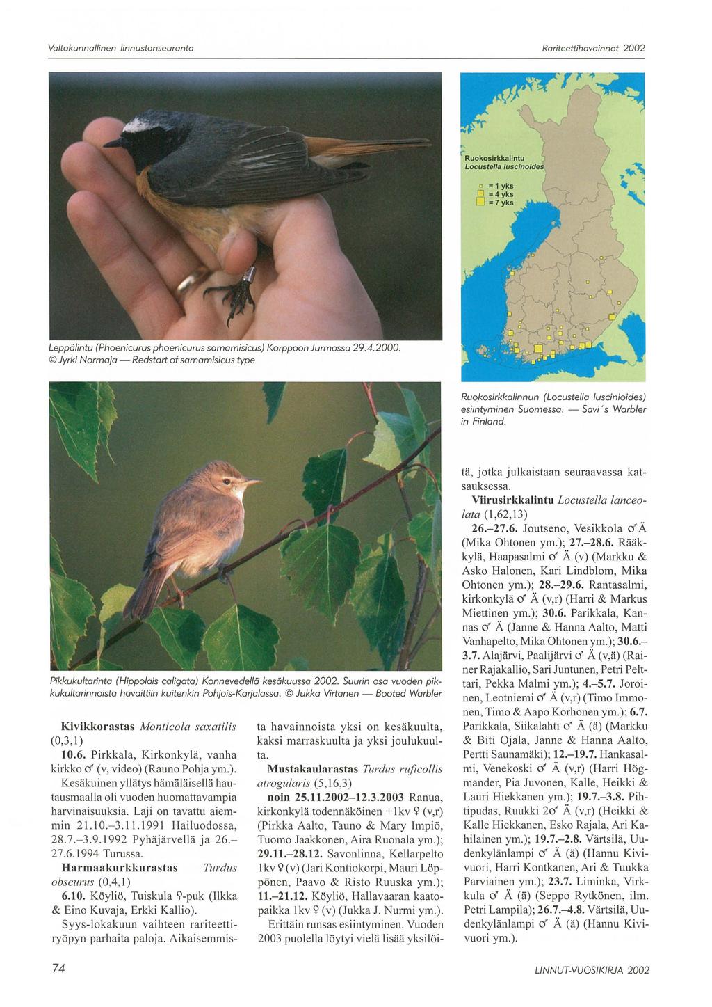 Valtakunnallinen linnustonseuranta Rariteettihavainnot 2002 Ruokoslrkkallntu Locustel/a /usc/noldes Leppälintu (Phoenicurus phoenicurus samamisicus) Korppoon Jurmossa 29.4.2000.