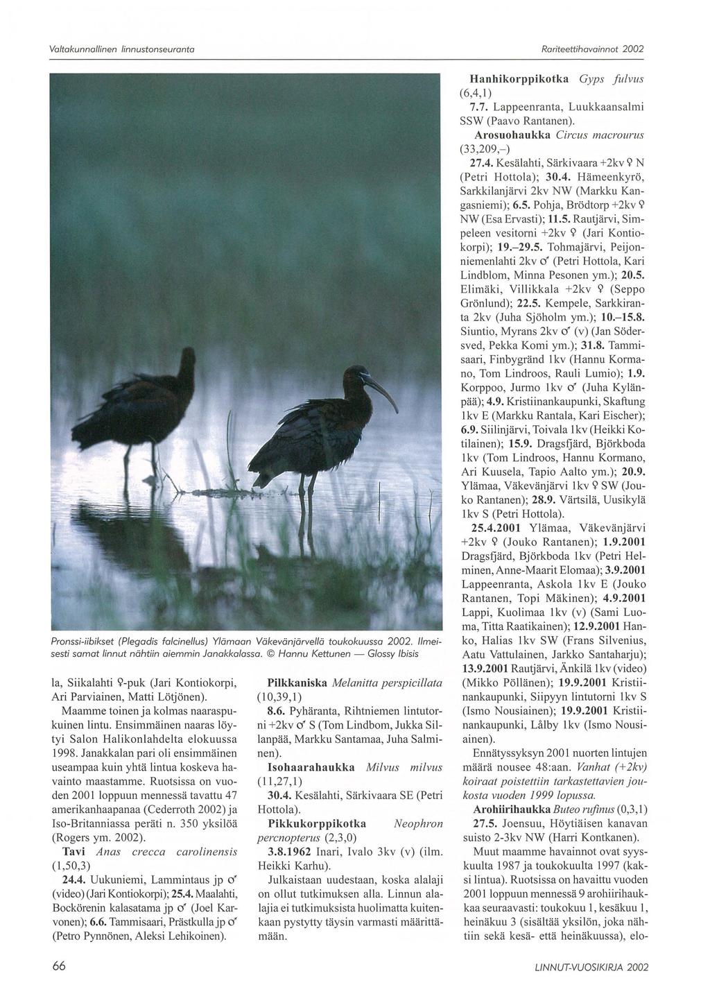 Valtakunnallinen linnustonseuranta Rariteettihavainnot 2002 Pronssi-iibikset (Plegadis falcine/lus) Ylämaan Väkevänjärvellä toukokuussa 2002. Ilm eisesti samat linnut nähtiin aiemmin Janakkalassa.