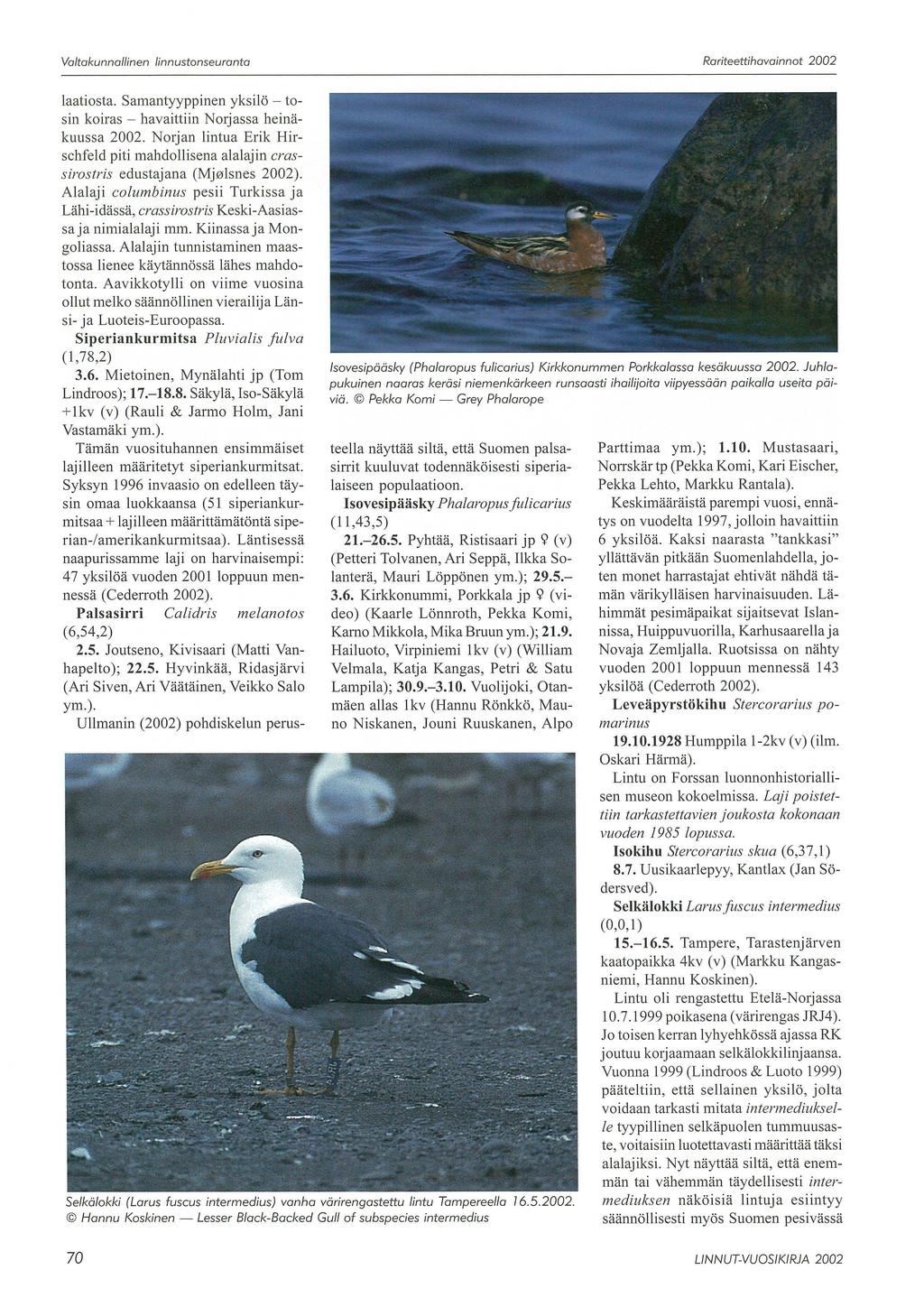 Valtakunnallinen linnustonseuranta Rariteettihavainnot 2002 laatiosta. Samantyyppinen yksilö - tosin koiras - havaittiin Norjassa heinäkuussa 2002.