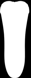 Braun KF520.