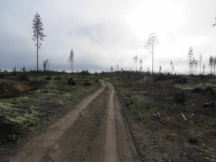 Vuonna 1907 valmistui 12 km pitkä Oulujärvi Siikajoki uittokanava, joka kulki Säräisniemen eteläpuolelta Painuanlahdelta Veneheiton Neittävänjoelle saakka.