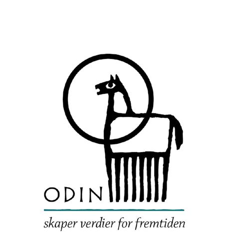 ODIN Rahastot Mannerheimintie 20 B 6.